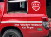 Niat Evakuasi Ular di Bojonggede, Damkar Kabupaten Bogor Kena Prank Debt Collector