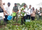 Mitigasi Perubahan Iklim dan Pelestarian Lingkungan, KLH-Taman Safari dan PTPN Tanam Pohon di Puncak