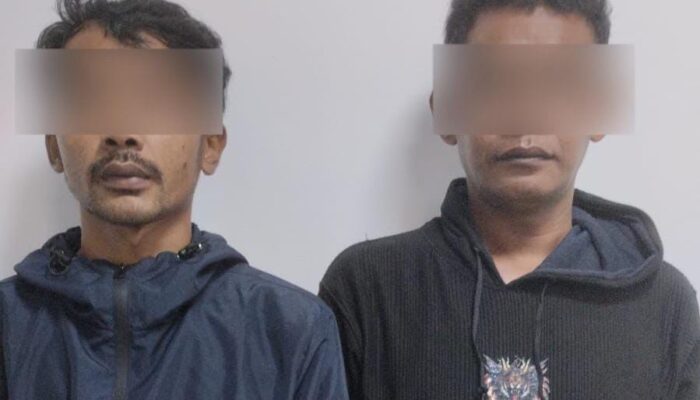 Cekcok Berujung Penodongan Senpi dan Parang ke Warga Cigudeg, 2 Orang Diamankan Polisi