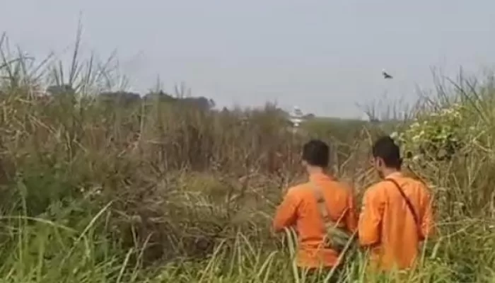 Lahan Perumahan Seluas 130 Meter di Klapanunggal Ludes Terbakar