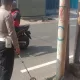 Tak Konsentrasi, Pemotor Tabrak Penyeberang Jalan di Citeureup