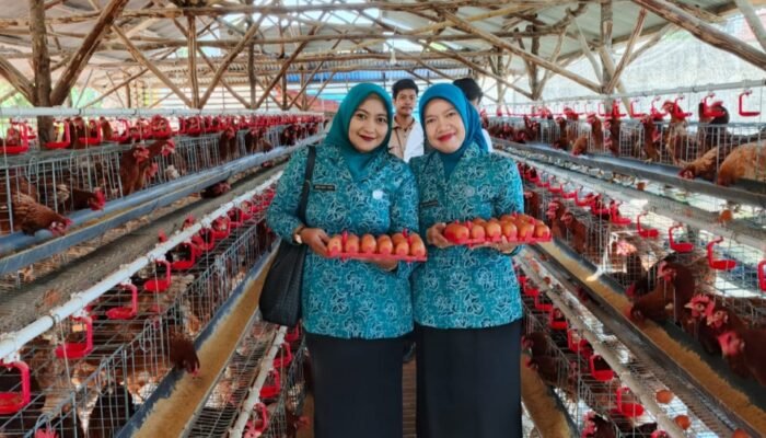 TP PKK Kecamatan Kemang Diajak Panen Telur Ayam di Desa Pondok Udik
