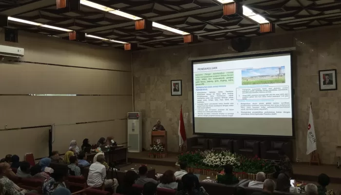 Produksi Kakao Alami Penurunan di 5 Tahun Terakhir, BRIN dan CSP Kembangkan Benih Unggulan