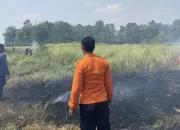Diduga Dibakar Oleh Oknum Masyarakat, Lahan Seluas 400 Meter di Cariu Terbakar