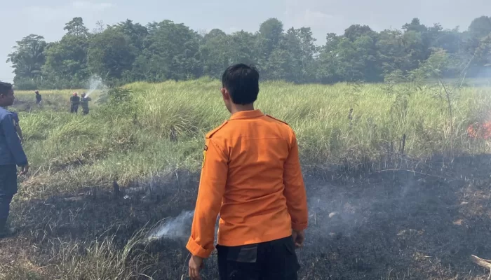 Diduga Dibakar Oleh Oknum Masyarakat, Lahan Seluas 400 Meter di Cariu Terbakar