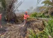 BNPB Sebut Kebakaran Hutan dan Bencana Hidrometeorologi Masih Menjadi Ancaman