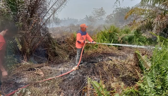 BNPB Sebut Kebakaran Hutan dan Bencana Hidrometeorologi Masih Menjadi Ancaman