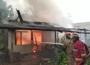 Selama Januari-Agustus 2025, 60 Kebakaran Landa Kabupaten Bogor