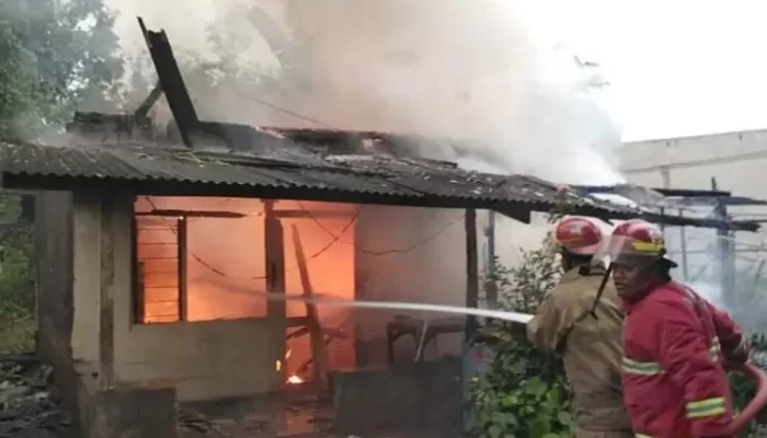 Selama Januari-Agustus 2025, 60 Kebakaran Landa Kabupaten Bogor