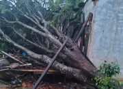 Hujan Deras Disertai Angin Kencang di Ciampea, Lima Rumah Rusak dan Satu Ambruk