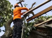 75 Unit Rumah di Bojonggede Tercatat Rusak Usai Diterjang Angin Kencang