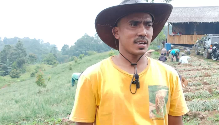 BUMDes Pasirmadang dan KTH Ciparay Panen 40 Ton Bawang Merah, Siap Ekspansi hingga Papua