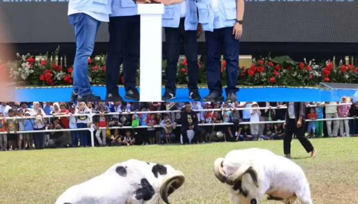 Hari Peternakan dan Kesehatan Hewan ke-189 di Pakansari, Ada Kontes dan Adu Domba hingga Pameran UMKM