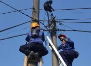 Lutung Jawa Nyangkut di Kabel Listrik Parungpanjang, Damkar Evakuasi Hingga 1 Jam