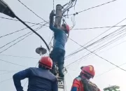 Burung Hantu Tersangkut Kabel Listrik di Parung, Damkar Kabupaten Bogor Lakukan Evakuasi Dramatis