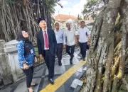 Cek Kondisi Pohon Karet Kebo Berusia 70 Tahun, Dedie Rachim: Sudah Memprihatinkan