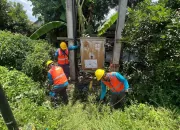 Dukung Keandalan Jaringan, PLN UP3 Gunung Putri Laksanakan Program Gempur Penyulang di ULP Jonggol