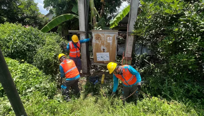 Dukung Keandalan Jaringan, PLN UP3 Gunung Putri Laksanakan Program Gempur Penyulang di ULP Jonggol