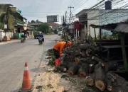 Gegara Tertabrak Truk Kontainer, Pohon Tumbang Timpa Warung di Gunung Putri