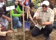 Lakukan Penanaman Pohon Bersama Kementerian LH, Bupati Rudy Minta Komitmen Seluruh Pelaku Usaha untuk Menjaga Alam