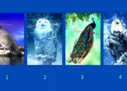 Pilihlah Burung yang ada di Gambar ini, Temukan Kekurangan dan Kelebihan Kamu