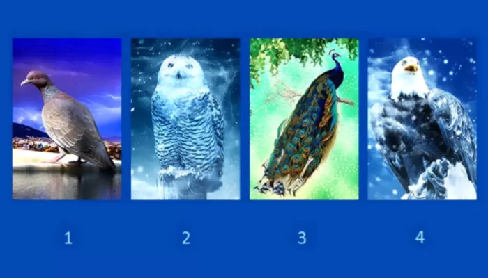 Pilihlah Burung yang ada di Gambar ini, Temukan Kekurangan dan Kelebihan Kamu