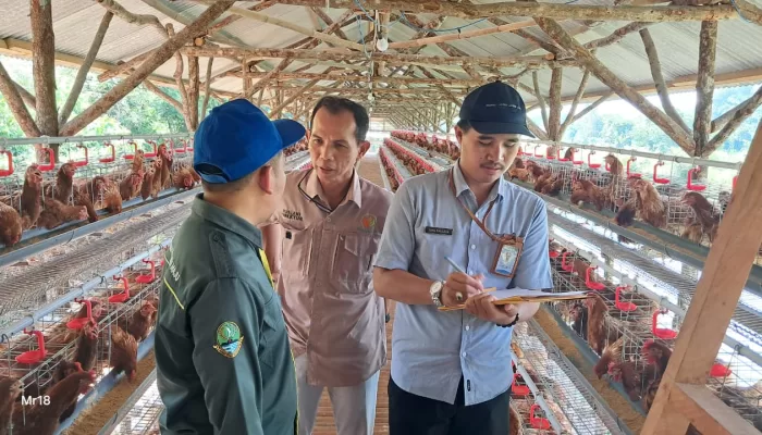BumDes Tegal Kemang Dukung Ketahanan Pangan Lewat Ternak Ayam Petelur