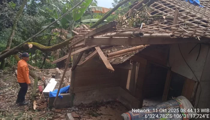 Pohon Tumbang Timpa 1 Rumah Warga di Cigudeg Hingga Ambruk, 3 Orang Mengungsi