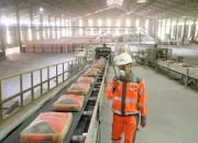 Ditopang Fundamental Solid, Laba Kuartal III 2025 PT SBI Naik 12,3%