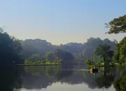 Rekomendasi 3 Tempat Wisata Gratis di Bogor, Viewnya Super Keren!