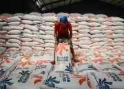 Stok Beras Nasional Aman Hingga Natal dan Tahun Baru