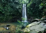 Curug Kondang, Tempat Wisata di Bogor yang Bikin Betah
