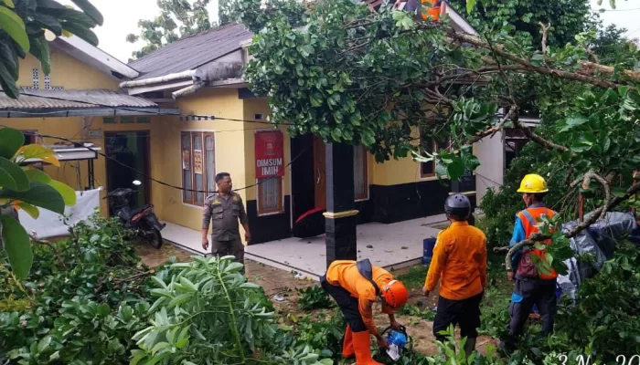 2 Unit Rumah di Kemang Rusak Tertimpa Pohon Tumbang, Lansia Alami Luka di Kepala
