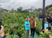 Pemilik Lapak Dikenai Tarif Rp 100 Ribu per Tahun di Pasar Petani Garuda, Bupati Rudy Susmanto: Agar Tak Ada Jual Beli Lapak ke Oknum
