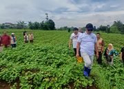 Bumi Perkemahan Milik Kwarcab Pramuka Kota Bogor Segera Difungsikan