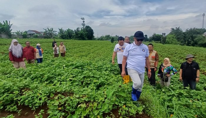 Bumi Perkemahan Milik Kwarcab Pramuka Kota Bogor Segera Difungsikan
