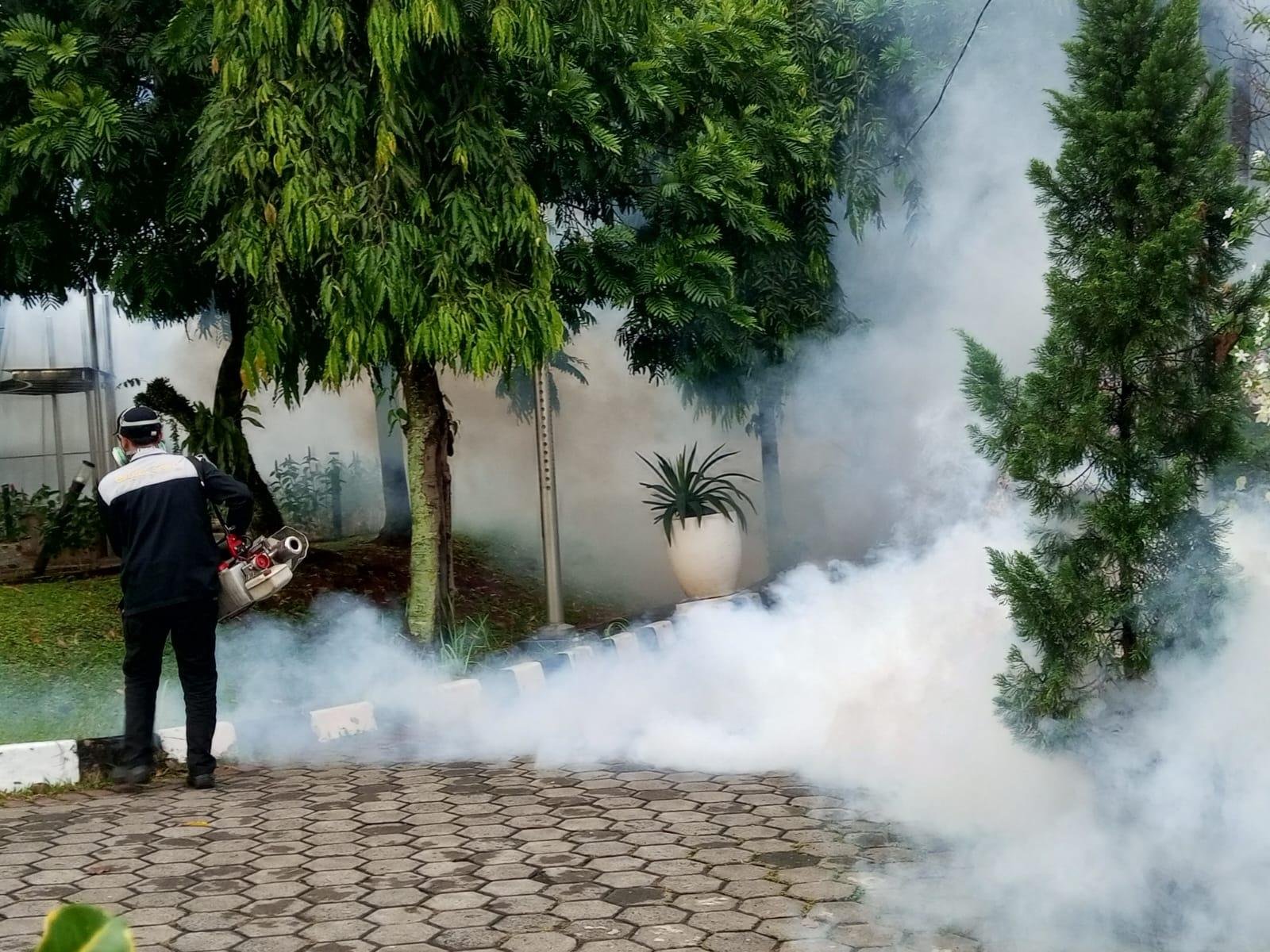 21 Ribu Kasus DBD Sebabkan 6 Orang Meninggal Dunia di Kabupaten Bogor, Cibinong Tertinggi