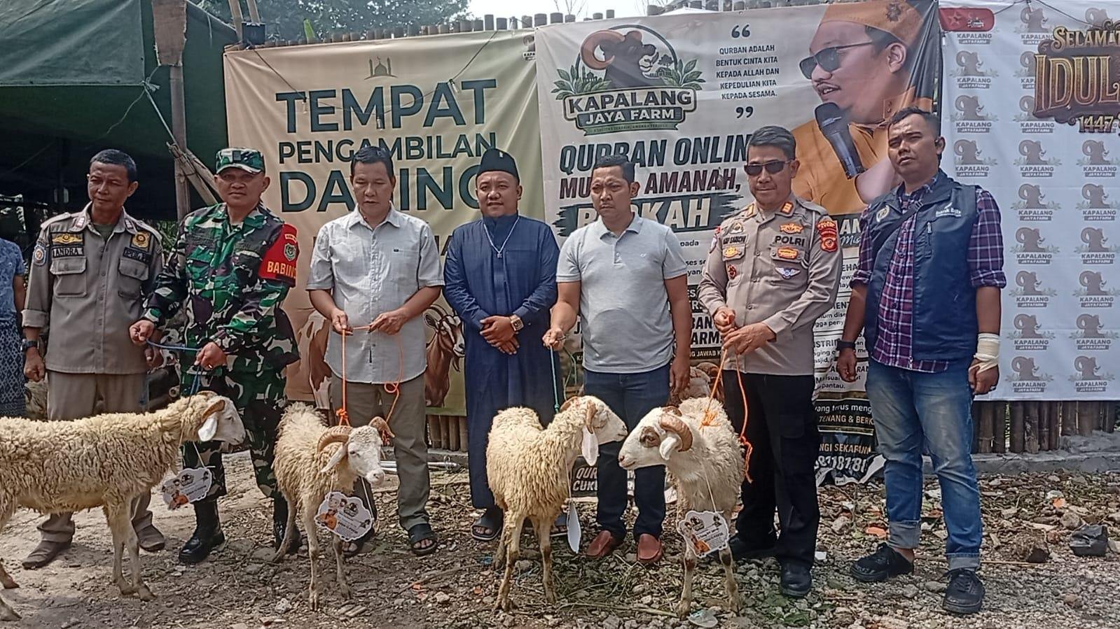 Dari Horor ke Berkah, Kapalang Misteri Tebar 300 Domba Kurban untuk Bogor Barat