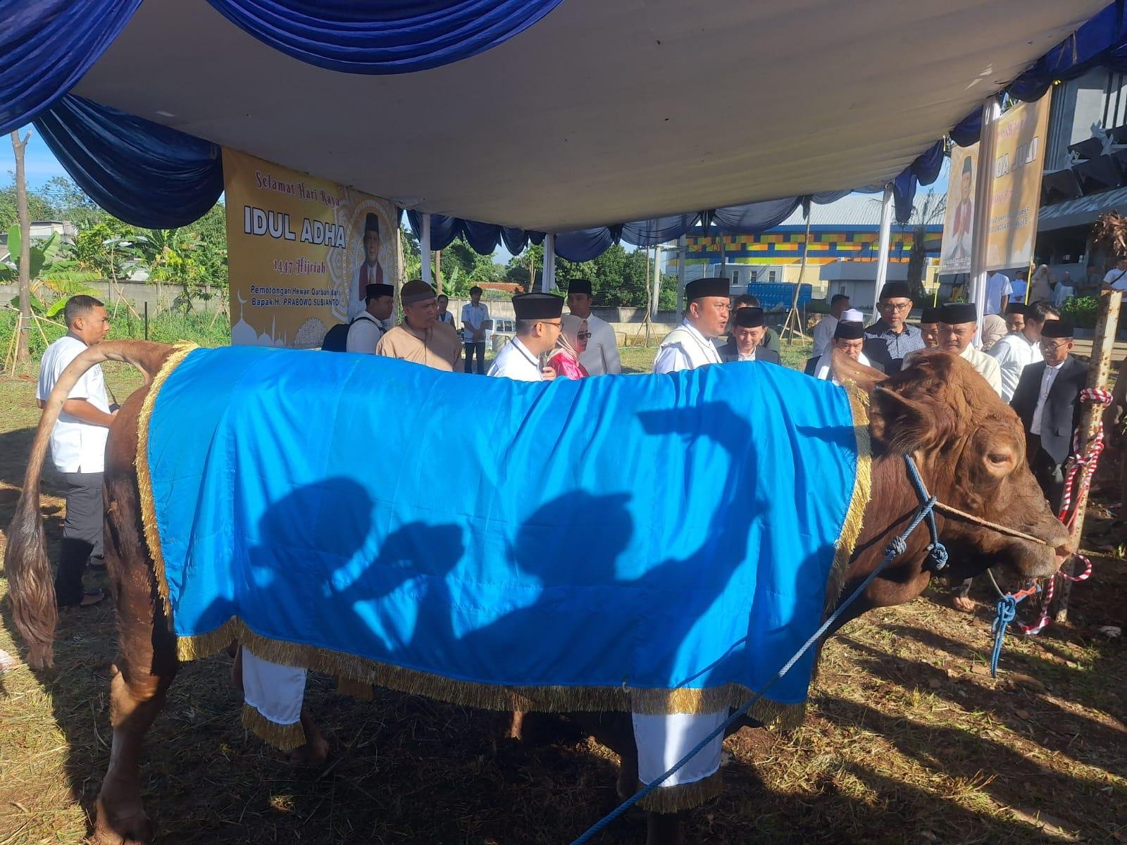 Bupati Rudy Susmanto Sebut Pemotongan Hewan Kurban Idul Adha 1447 Jadi yang Perdana di Masjid Raya Nurul Wathon