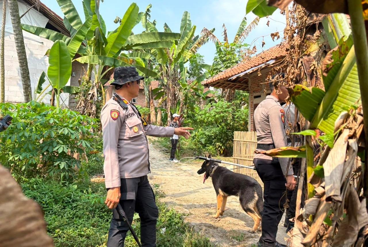 12 Anjing Pemburu Babi Berkeliaran di Jasinga, Ancaman Penyerangan Mengintai Warga