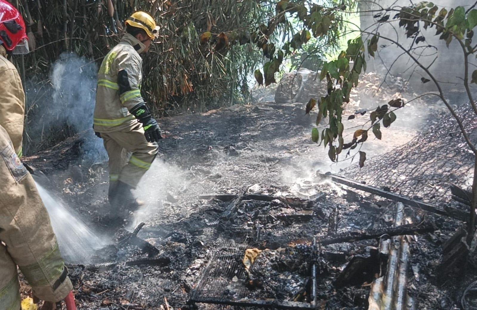 Sebabkan Lahan Rumpun Bambu Kebakaran di Cibinong, Pelaku Pembakaran Sampah Sembarangan Kabur